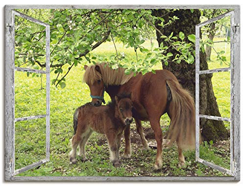 ARTLAND Wanddeko Leinwand Bilder Wandbild Fensterblick Fenster Pferd Pony Natur Wiese Landhaus Baum Ausblick S8HN