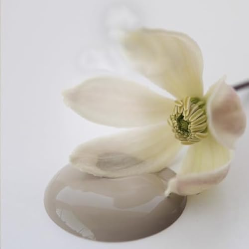 Jeanne d´Arc living Jeanne d'Arc Living Vintage Paint Kreidefarbe OLD BEIGE ECO LABEL Wasserbasiert und Umweltfreundlich 700 ml/23,6oz Chalk Kalkfarbe JDL Malen