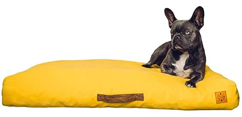 Roth & Bock - The German Pet Brand, Oeko-Tex Standard 100 zertifiziertes orthopädisches Soft Foam Hundebett, bezogen in hochwertigem wasserundurchlässigen Canvasstoff - gelb, S