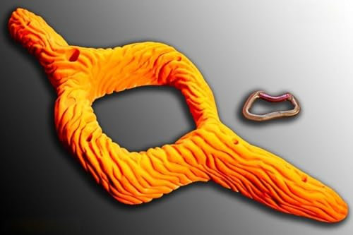 move Brainstorm Heuco 1 Klettergriffe XXL it-Climbingholds, Farbe:neon orange
