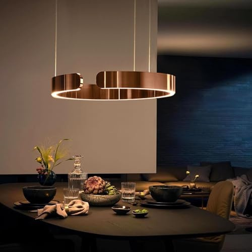 NVKE LED Pendelleuchte Modern Esstisch Hängelampe Round Ring Esszimmer Hängeleuchte Stufenlose Dimmung Wohnzimmer Kronleuchter Edelstahl Schirm Kreativ Lampe Restaurant Büro Deckenbeleuchtung(40cm)
