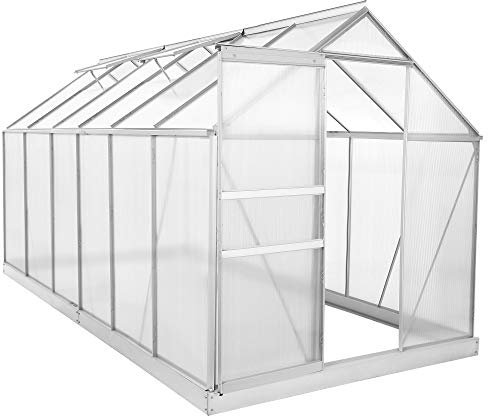 Zelsius Aluminium Gewächshaus mit Fundament 380 x 190 cm | 6 mm Hohlkammerplatten, UV-beständig, Winterfest | Treibhaus, Pflanzenhaus, Tomatenhaus, Frühbeet, Anbau Gewächshaus, Tomatengewächshaus