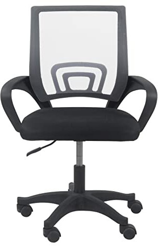 ADGO Moris Silla de Gaming con Reposabrazos para Niños y Adolescentes, Silla de Ordenador sobre Ruedas, de Gaming, de Escritorio, de Oficina, Gamer Ergonómica, Silla Giratoria (Gris)