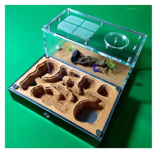 YTBHSHXZ, Ameisenfarm Nest Ameisenfarm Ameisenfarm Ameisenfarm Studie des Ameisenverhaltens Ameisennest Ameisen-Terrarium pädagogisches Formicarium Ameisenhaus