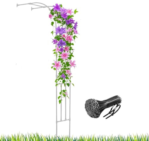 Arche de jardin en métal pour plantes grimpantes – Treillis de fleurs d'extérieur en acier 150 cm de large x 240 cm de haut, tonnelle de jardin blanche pour décoration de jasmin et de terrasse