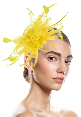 Fascinator Damen, Fascinator Damen Hut Blume Mesh Federn Clip Kopfbedeckung für Tea Party Damen Fascinator Hair Clip Stirnband Feder Flower Braut Kopfschmuck Cocktail Hochzeit Haarschmuck