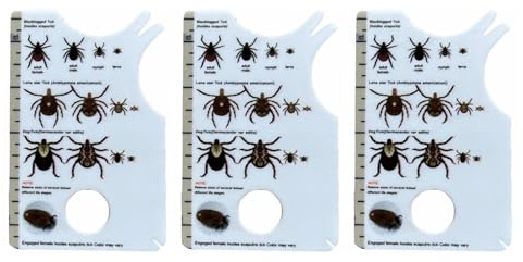 Scheda compatta per l'estrazione delle zecche con doppie scanalature e strumento di ingrandimento, ideale per la toelettatura degli animali domestici, strumento compatto per la rimozione delle zecche