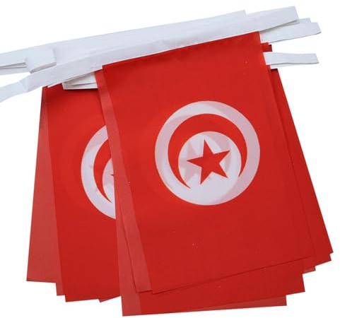 AZ FLAG Guirlande Tunisie 6 m 20 drapeaux Polyester Léger 21x15 cm