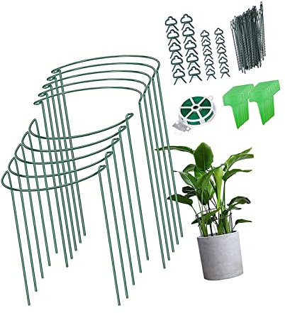 Support pour plantes en métal avec étiquette de plantation - Longue spirale - Cage de plantation semi-circulaire - Anneau de support pour plantes pour tomates, hortensias