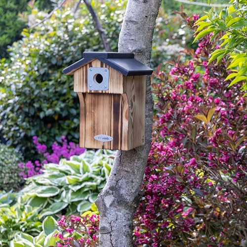 CJ Wildlife Nistkasten – Vogelnistkasten für draußen wetterfest – 32-mm-Einflugloch für Kohlmeise und Kleiber – FSC-Holz mit integriertem Räuberschutzbalkon