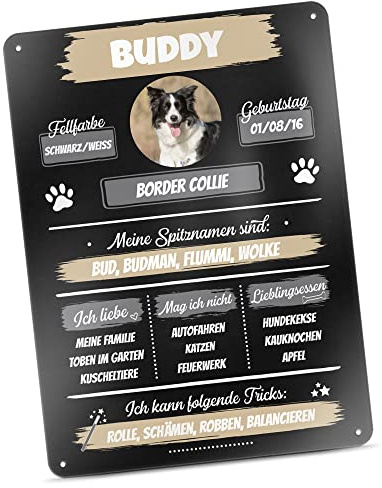 Hunde-Schild personalisiert - Metall-Poster Hunde-Steckbrief mit Foto & Name selbst gestalten - Lustiges Geschenk für Hundebesitzer, Vierbeiner - Blech-Schild A4, 21x30 cm