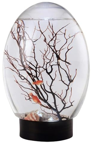 Fischschale, Desktop-Aquarium,Mini-Aquarium mit LED-Licht, Desktop-Wohnzimmer-Mikrolandschaft, Faules kleines Aquarium ohne Wasserwechsel, integriertes Aquarium, Keine Fütterung erforderlich