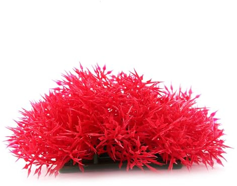 KIMISS Grüne Kunststoff-Aquarium-Zubehör-Dekoration, Aquarium-Zubehör, Dekoration, Grünes Gras, Künstliche Kunststoff-Wasserpflanze, Verschiedene Formen, Gefälschte Dekorationen