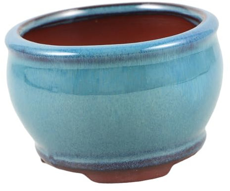 BESPORTBLE Maceta De Cerámica Fina Ideal para Suculentas Decorativa y Práctica para Escritorio