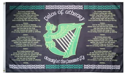 AZ FLAG Flagge Irland The Fields of Athenry 90x60 cm Polyester 100D 2 Ösen | Für innen und außen Irische dekorative Flagge Ireland The Fields of Athenry doppelte Nähte und verstärkte Kanten