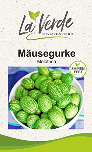 La Verde MEIN GARTEN UND ICH. Mäusegurke Samen für ca. 20 Pflanzen, exotische Klettergurke, erfrischend und vielseitig, Saatgut ohne Gentechnik