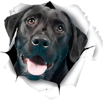Autoaufkleber Labrador Aufkleber 15cm(5.9 Inch) Schwarzer Labrador Reflektierende Aufkleber Haustier Hund Lustig 3D Zerrissen Autoaufkleber Black Labrador Car Sticker Personalisieren Lustig Dekor