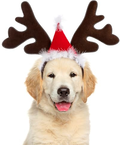 PRETYZOOM Weihnachten Haustier Stirnband Rentiergeweih Stirnband Elchgeweih Haarreif mit Weihnachtsmütze für Katze Hund Weihnachten Xmas Party Haarschmuck Cosplay Kostüm Zubehör