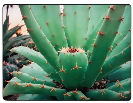 WZYWHJ Area Rugs,Living Room Floor Mats Runner Rug Non-Skip Nursery Mat Playing Carpet 63 x 48 inch Agave Cactus Prints