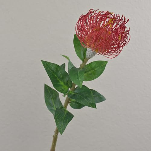 artplants.de Kunstblume Nadelkissen Protea XIFANG, rot, 75 cm | Künstliche Stielblume