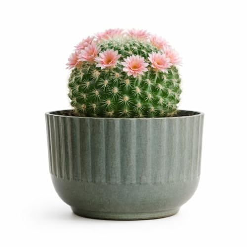 The Happy Garden Galvanised Metal Planter Pot, Medium Size Metal Plant Pot for Windowsill, Indoor & Outdoor Use, Rust-Resistant with Drainage Holes (Ribbed)