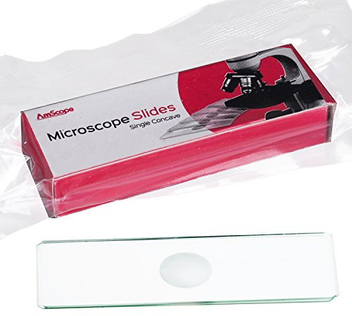 AmScope BS-C12 Mikroskop Objektträger Single Depression Concave, 12 Stück