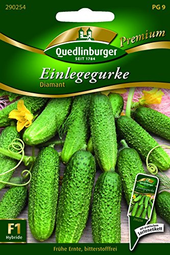 Gurken Einlege- Diamant - Cucumis sativus L. QLB Premium Saatgut Gurken