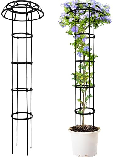 TIKTALK Rankhilfe Obelisk,165cm hoch rankhilfen für kletterpflanzen,Metall Pilz Top,einstellbare Höhen Pflanze Spalier für Topfpflanzen, Tomaten, Gurken, Clematis, Rose