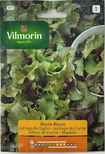 Semi Lattuga a Taglio Biscia Rossa S1-919 7 Gr, Confezione da 10 bustine.