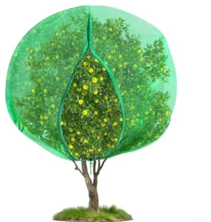 Filet pour arbre fruitier, filet transparent ultra fin en maille verte myrtille avec cordon de serrage à fermeture éclair (3 x 4 m)