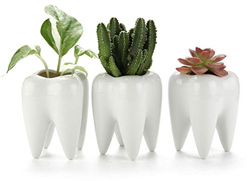 T4U Suckulent krukor set med 3, tandformade kaktuskrukor små keramiska växter kruka bonsai planterare pennhållare vit för hem kontor skrivbordsdekor födelsedag