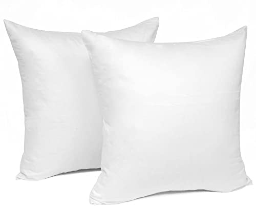 Laneetal 2 Set Kissenbezug 30x30cm Weiß - 100% Baumwolle Kissenhülle mit Reißverschluss, Weicher Kissenbezüge Doppelpack Sofakissenbezug (Ohne Füllung)