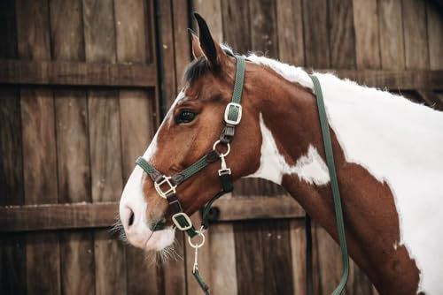 Kentucky - Geflochtenes Nylon Halfter COB - Olivgrün - Leder