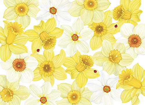 Caspari 5 gratulationskort anteckningar tomma och kuvert - påskkort - DAFFODILS & LADYBUGS- 10 x 15 cm stängd
