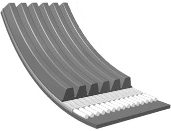 Meyle 050 006 1555 Correa trapecial poli V