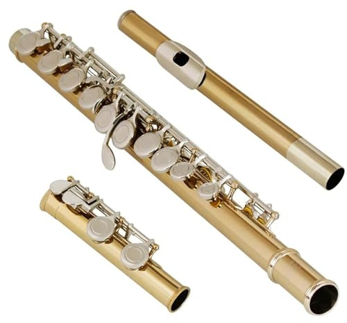 Flöjt Nybörjare Set 16 Geschlossene Offene Löcher C-Flöte Professionelles Querflöte Konzertmusikinstrument Mit Box Stoffstockhandschuhe(Gold)