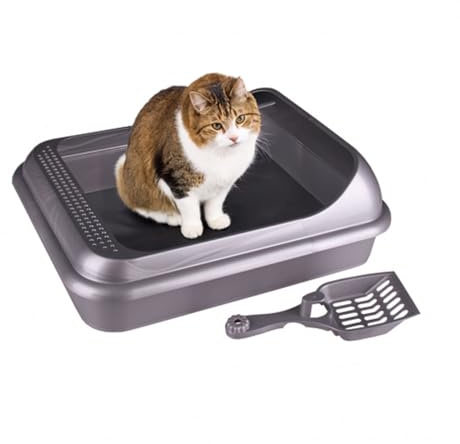 Katzentoilette Schalentoilette Katzenklo Kätzchen WC Hochrand abnehmbar Schaufel Grau