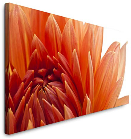 Paul Sinus Art GmbH orange Dahlien Blüte 120x 50cm Panorama Leinwand Bild XXL Format Wandbilder Wohnzimmer Wohnung Deko Kunstdrucke