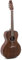 Applause Acoustic Guitar Wood Classics AAP-96-AN OOO Vintage