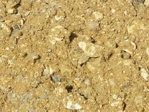 Hortus Planta 741049158382