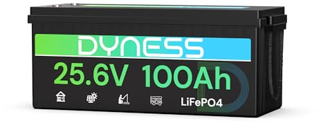 Dyness 24V 100Ah LiFePO4 Lithium Batterie mit Integriertem 100A BMS und Tieftemperaturschutz, ideal für 24V Trolling-Motoren(Bassboote), Wohnmobile und netzunabhängige Anwendungen