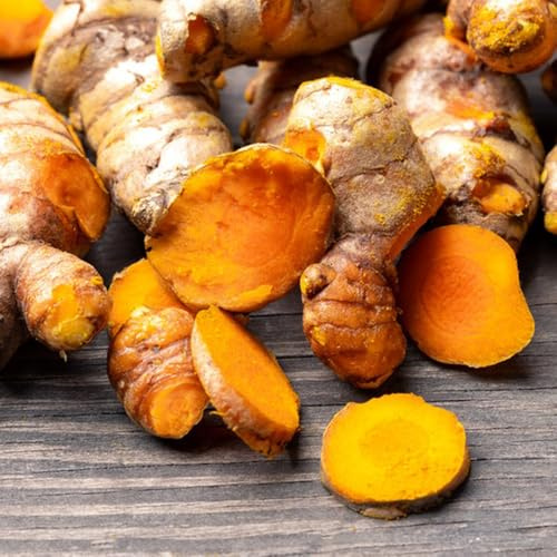 kurkumasamen - balkon stauden winterhart mehrjährig, exotische bodendecker 100pcs
