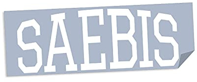 SAEBIS Autoaufkleber Lifestyle weiß oder schwarz - Sticker - Zubehör - Tuning - Autofolie - Klebefolie - Autosticker - Frontscheibe - Heckscheibe (weiß)