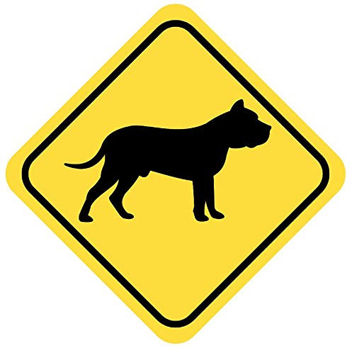 Samunshi® Dogo Canario Warnschild Warndreieck Aufkleber Achtung Vorsicht Hund - 25x25cm mehrfarbig