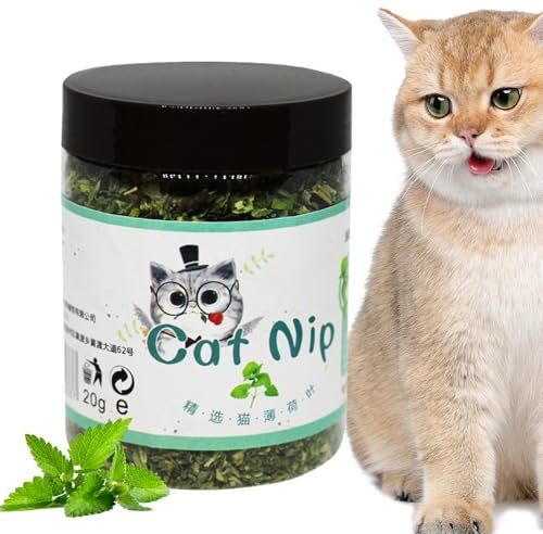 Sghtil Organic Catnip | Catnip Treats for Cats - Interactive Calming Entertainment Attractant for Indoor Kitten Plants Food Kit Enjoyment