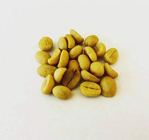 100 Samen -Arabica Kaffee- -Coffea arabica- Top Qualität