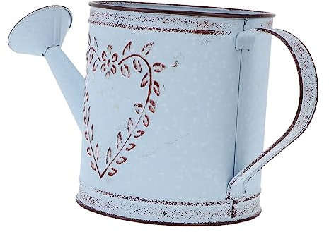 BAZEITFLOW Arrosoir en Fer Vintage Vase Décoratif pour Plantes Intérieur/extérieur Design Rustique Style Campagne