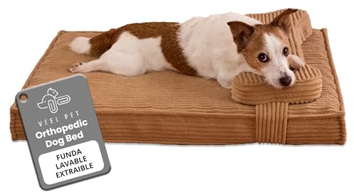 VEEL PET Cama Perro ortopédica antiestrés Lavable Funda Impermeable (Small)
