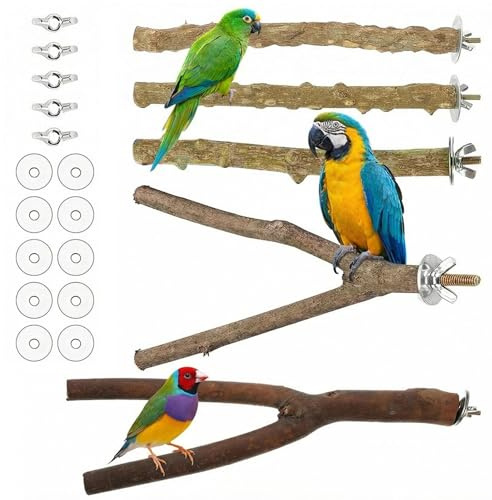 Eulihent 5 Pcs Bird Perch Natural Wood Budgie Perches for Cage Parrot Perch Bird Stand Paw Grinding Fork Parakeet Climbing Standing Branches for Parrotlets Cockatiels Lovebirds Cages Accessories
