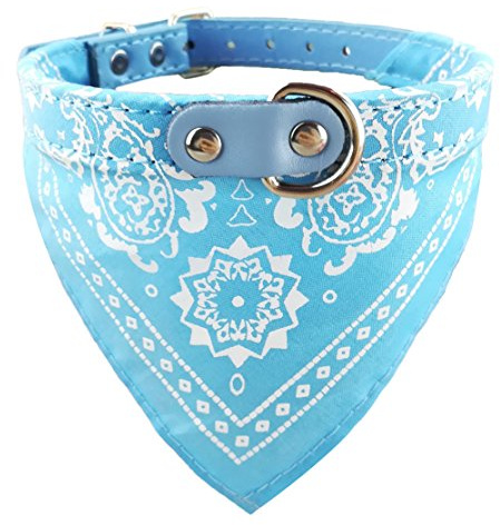 Newtensina Mode Hundebandana Halsband HundeHalsband Junge Mittel Bandana Hündchen Bandana mit Halsband für Hunde - Light Blue - L